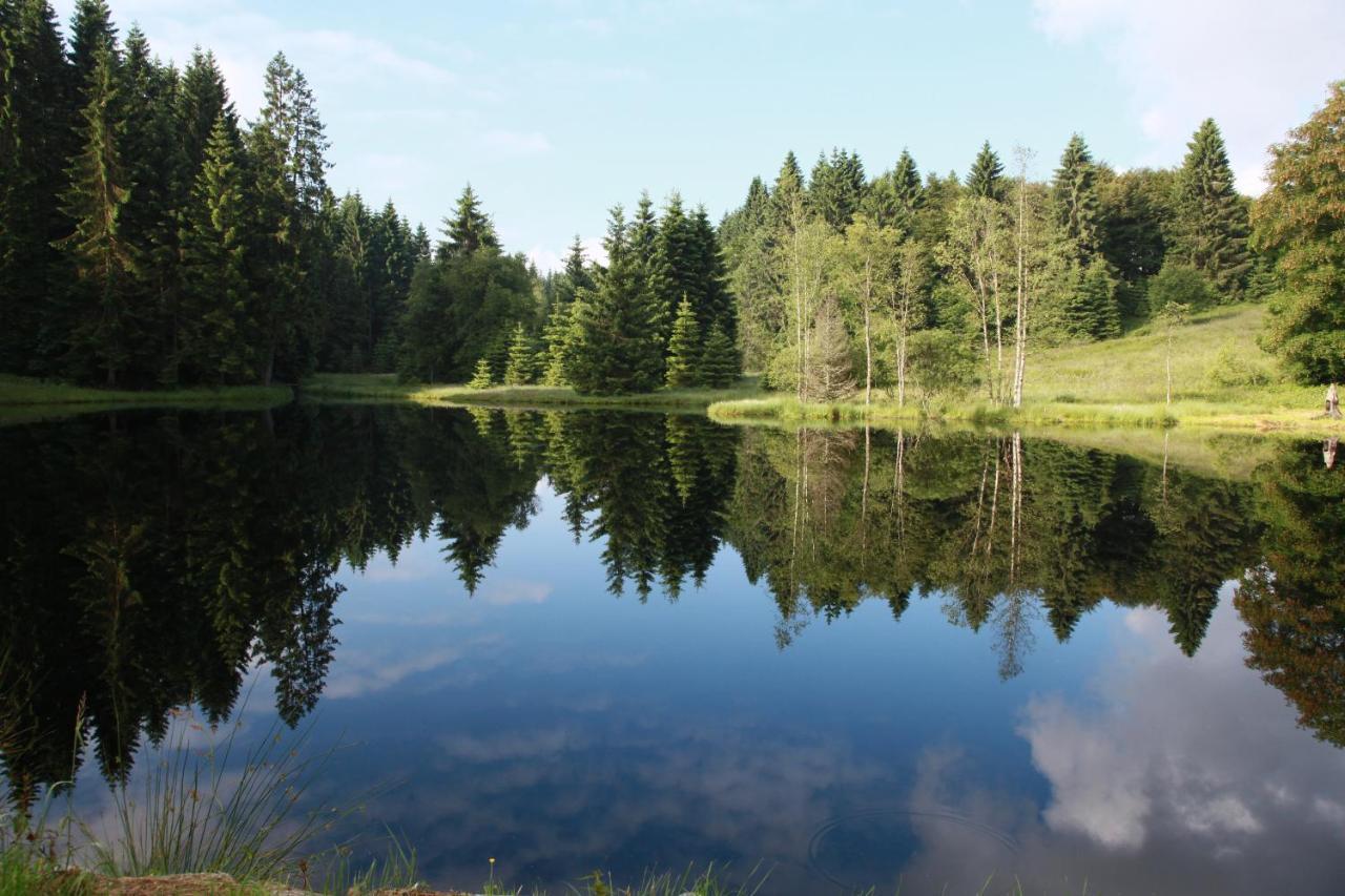 Chalet Des Rochires Gérardmer Eksteriør bilde